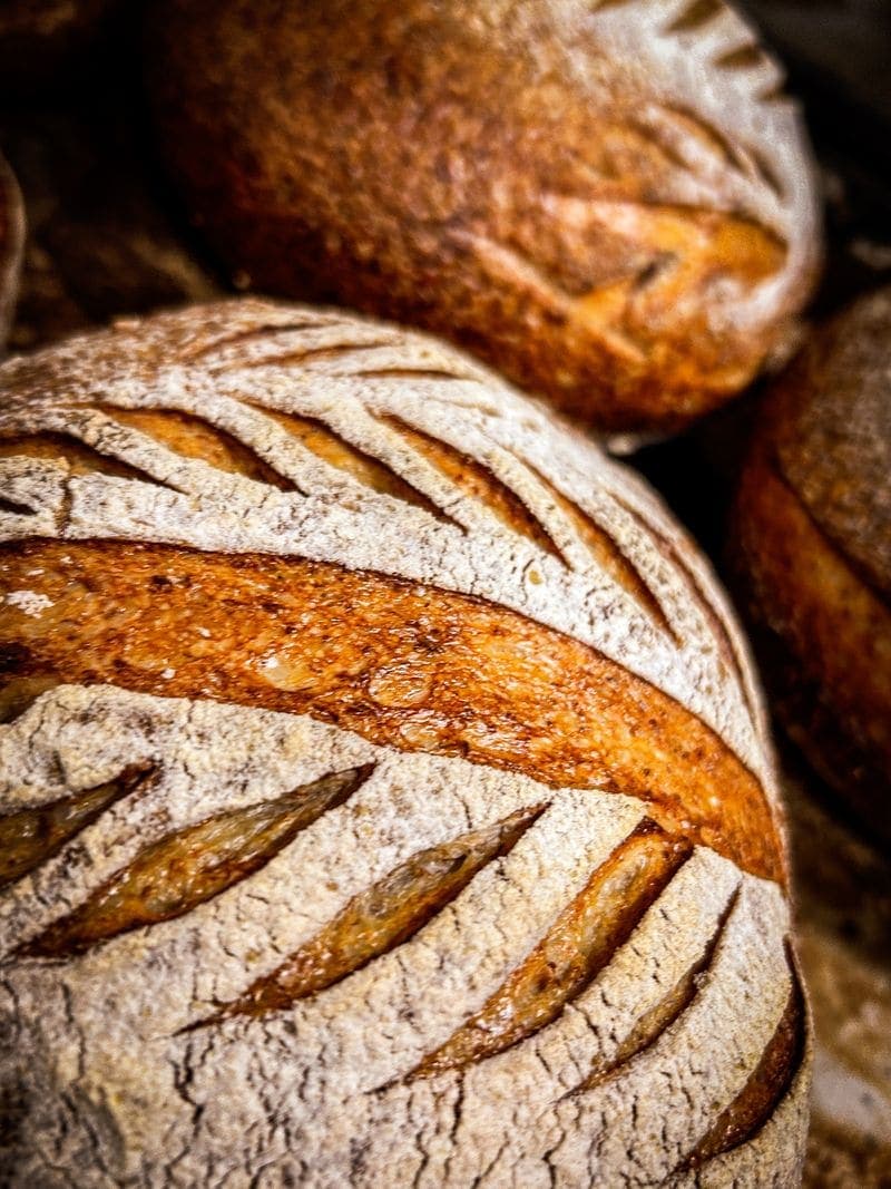 Scored sourdough loaves, fresh out of the oven.