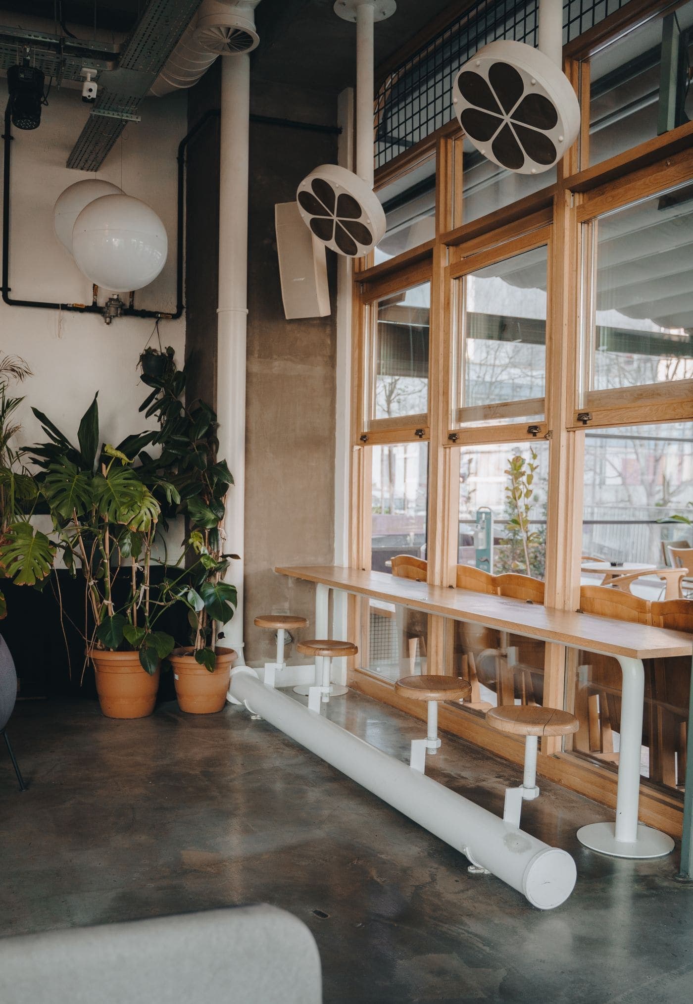 The cafe's front window on a bright morning, lined with terracotta pots and light spilling across the timber counter.