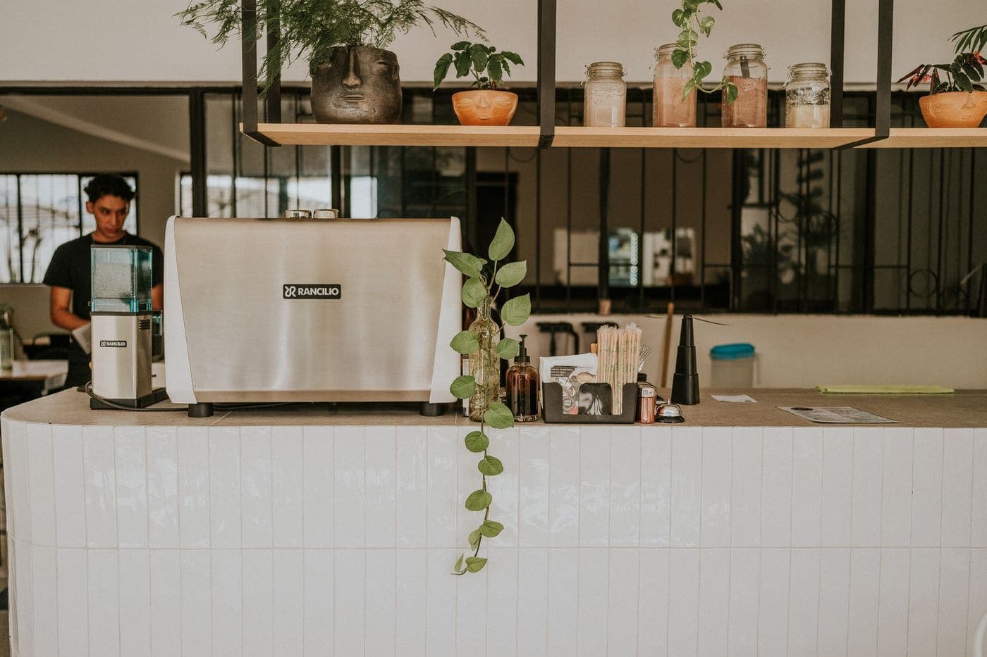 The service counter, with jars on an open shelf, an espresso grinder and a trailing plant.