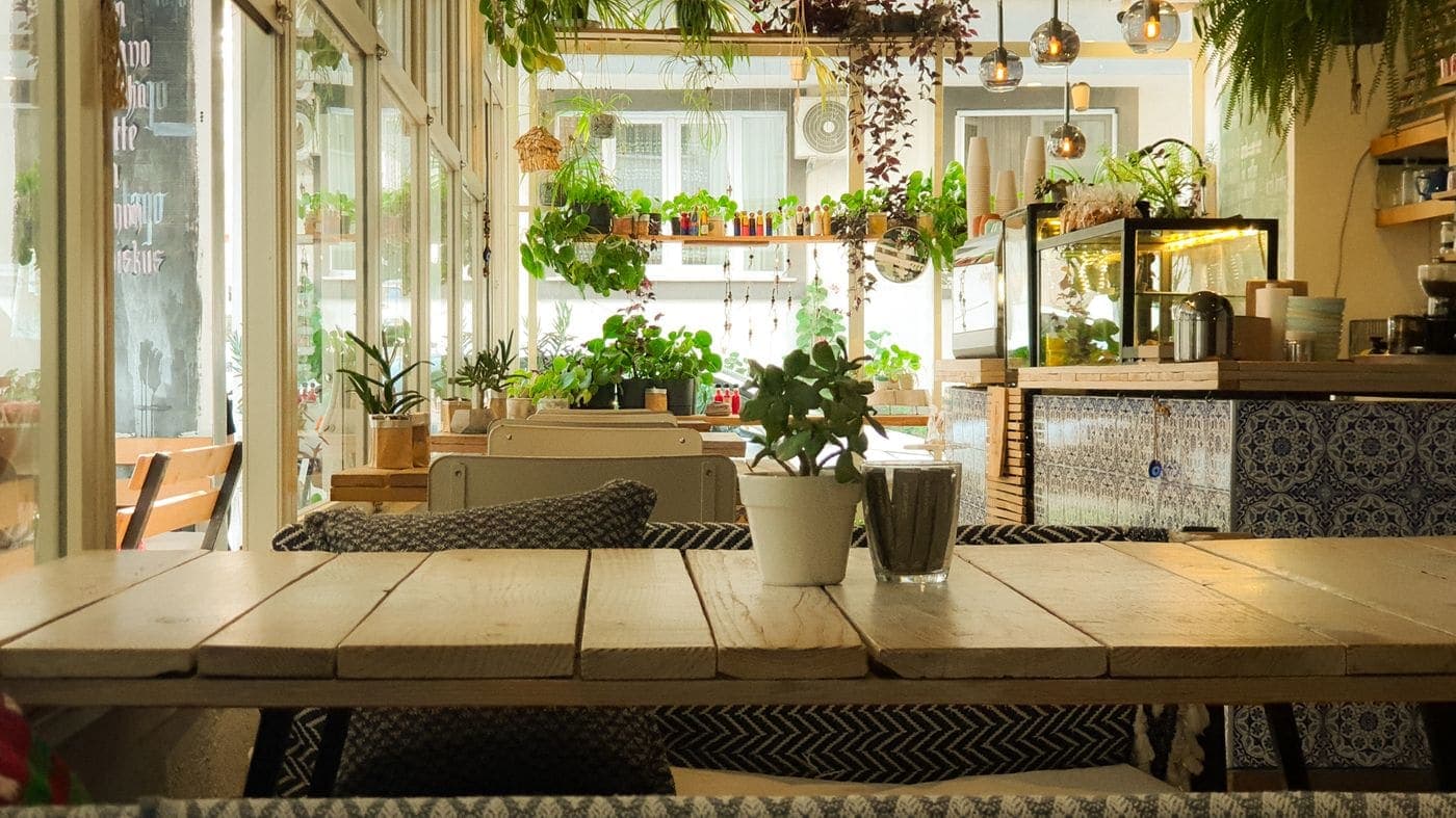 The communal timber table under a canopy of hanging plants, with the counter visible behind it.