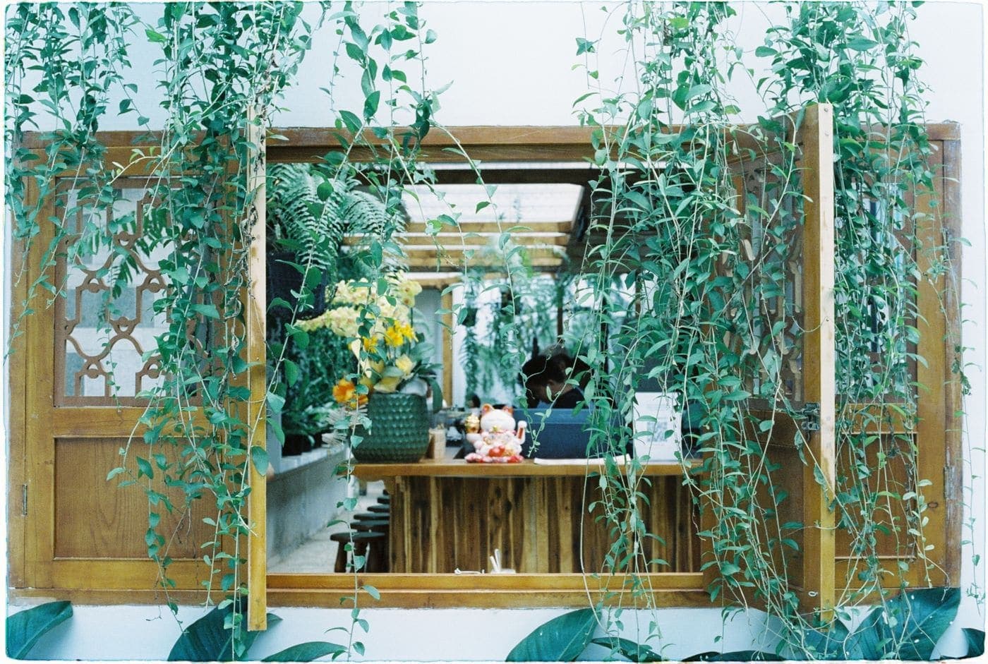 Vines hanging in front of the back window, framing the bench seat behind them.